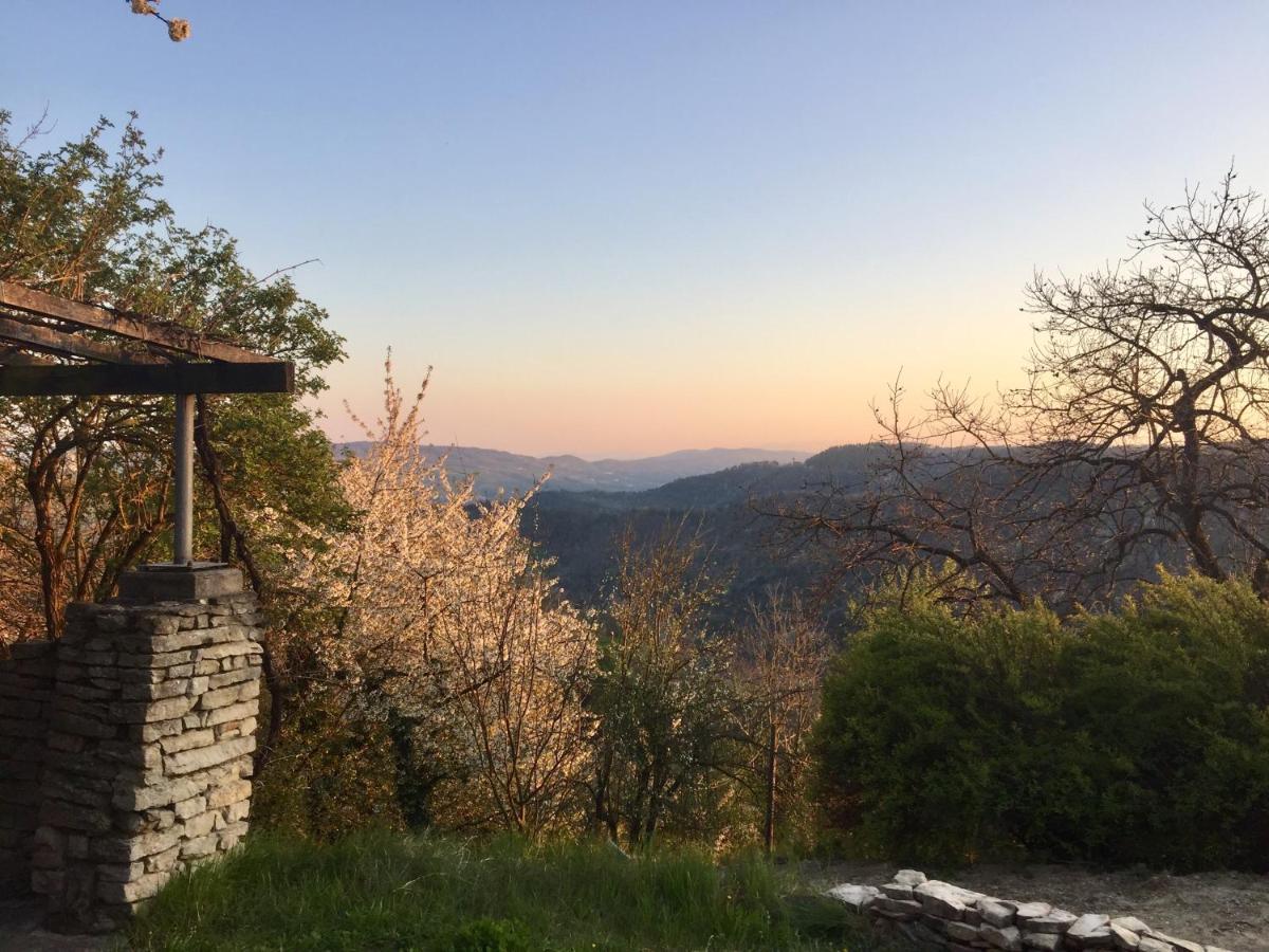 Bed and Breakfast Casa Langa Di Lola Mango Екстер'єр фото